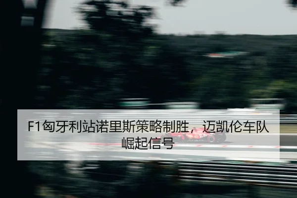 xiong-ya-li-zhan-nuo-li-si-ce-lve-zhi-sheng-mai-kai-lun-che-dui-jue-qi-xin-hao-2-903.jpg
