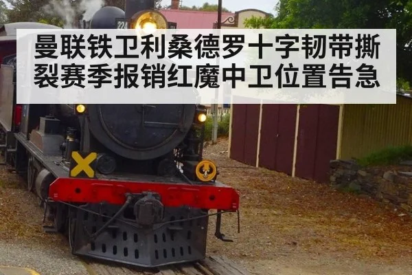 曼联铁卫利桑德罗十字韧带撕裂赛季报销红魔中卫位置告急